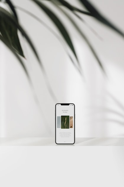 Understanding User Experience (UX)